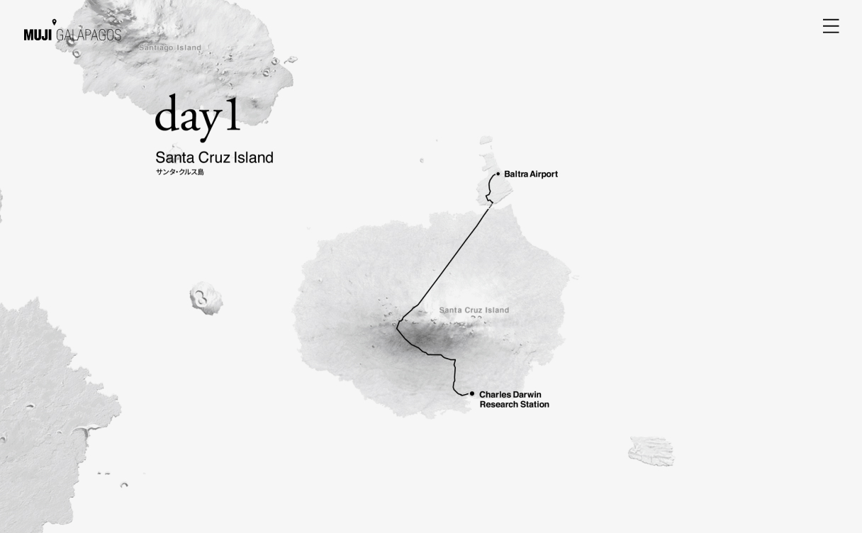 【 新品 】無印良品 GALAPAGOS e801c2680c62d3f3d84e30e3daccca