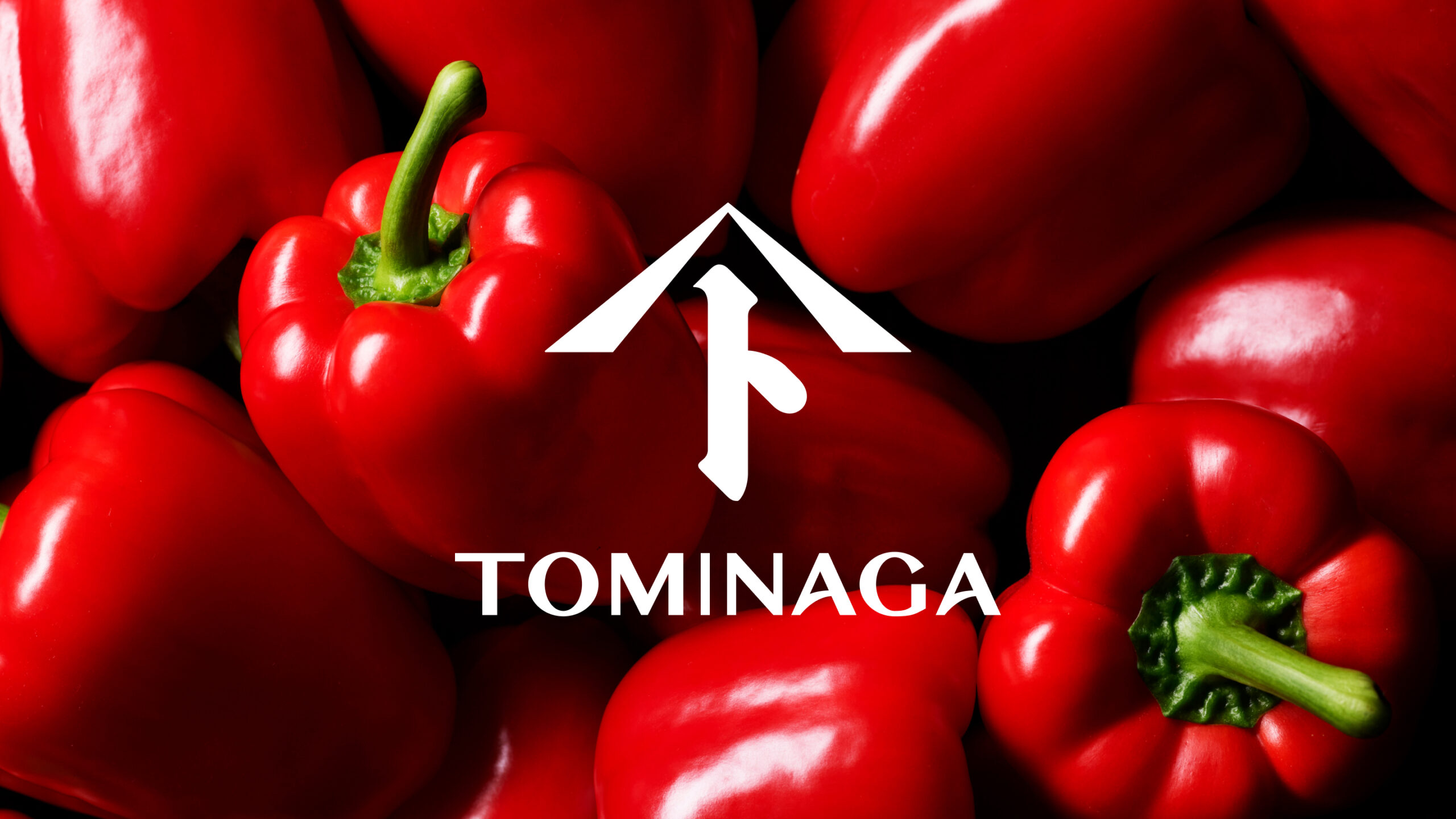 TOMINAGA